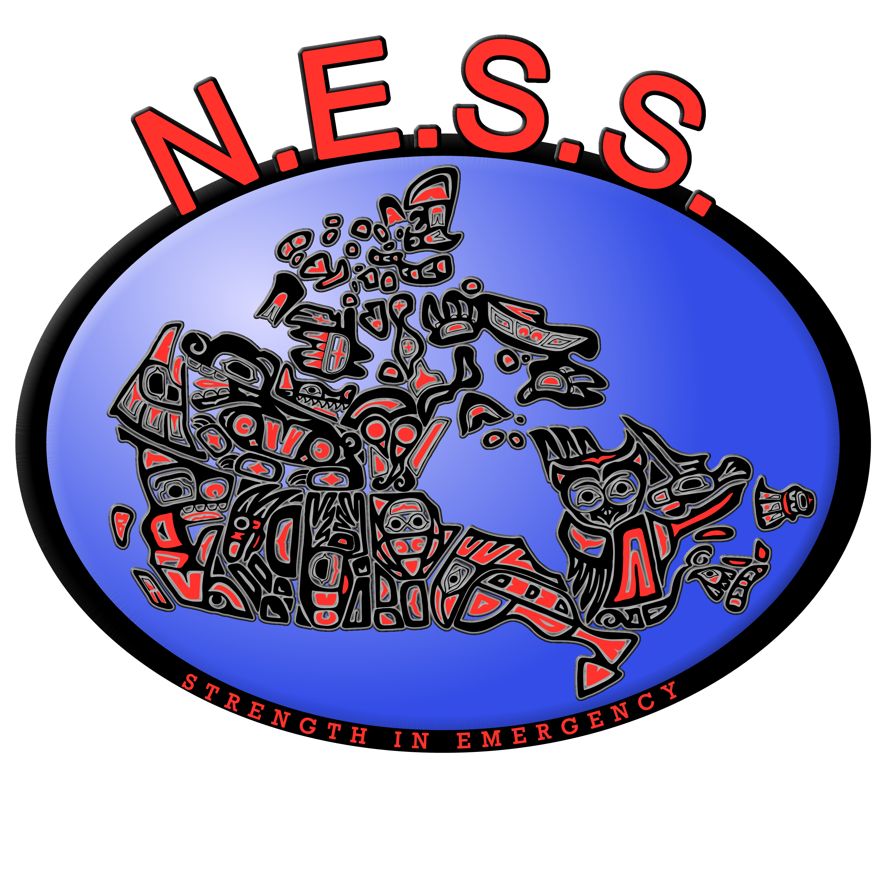 NESS